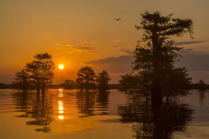 Framed Print : USA, Louisiana, Atchafalaya National Wildlife Refuge. Sunrise on swamp. Credit as