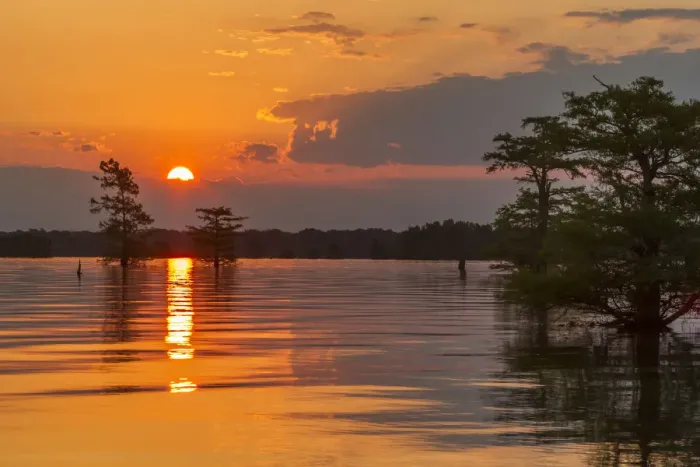 Framed Print : USA, Louisiana, Atchafalaya National Wildlife Refuge. Sunrise on swamp. Credit as