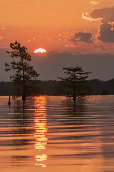 Framed Print : USA, Louisiana, Atchafalaya National Wildlife Refuge. Sunrise on swamp. Credit as