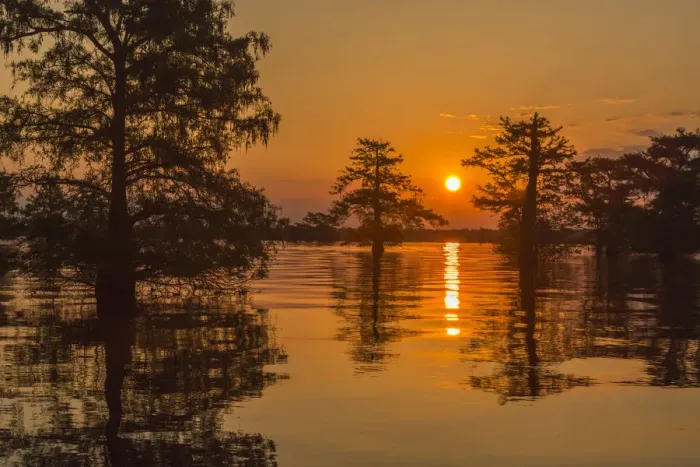 Framed Print : USA, Louisiana, Atchafalaya National Wildlife Refuge. Sunrise on swamp. Credit as