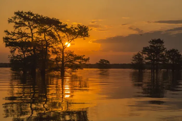 Framed Print : USA, Louisiana, Atchafalaya National Wildlife Refuge. Sunrise on swamp. Credit as Framed Print : USA, Louisiana, Atchafalaya National Wildlife Refuge. Sunrise on swamp. Credit as