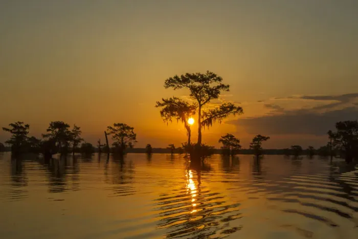 Framed Print : USA, Louisiana, Atchafalaya National Wildlife Refuge. Sunrise on swamp. Credit as Framed Print : USA, Louisiana, Atchafalaya National Wildlife Refuge. Sunrise on swamp. Credit as