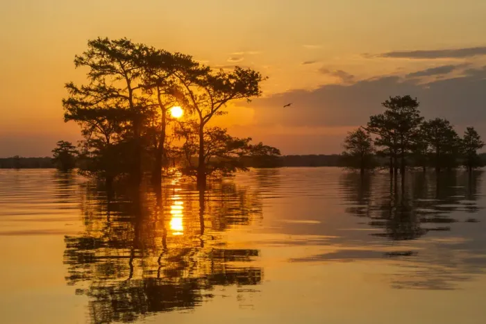 Framed Print : USA, Louisiana, Atchafalaya National Wildlife Refuge. Sunrise on swamp. Credit as Framed Print : USA, Louisiana, Atchafalaya National Wildlife Refuge. Sunrise on swamp. Credit as