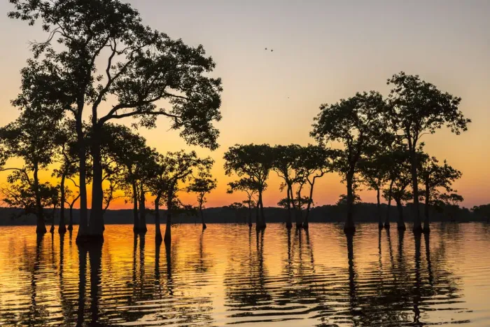 Framed Print : USA, Louisiana, Lake Martin. Sunrise on swamp