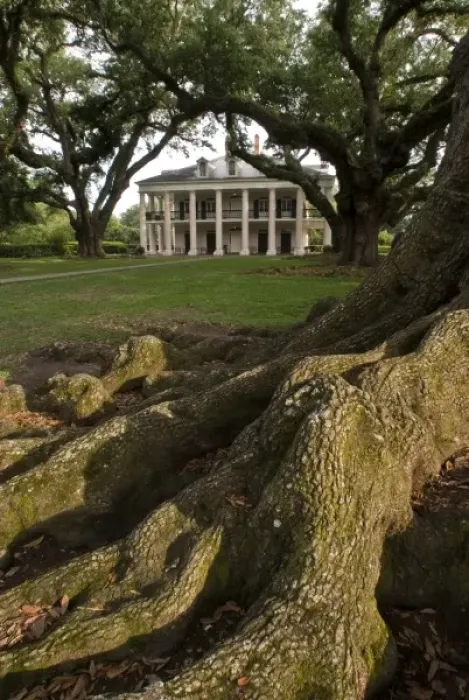 Framed Print : USA, Louisiana, St. James Parish, Vacherie. Oak Alley Plantation house seen beyond Framed Print : USA, Louisiana, St. James Parish, Vacherie. Oak Alley Plantation house seen beyond