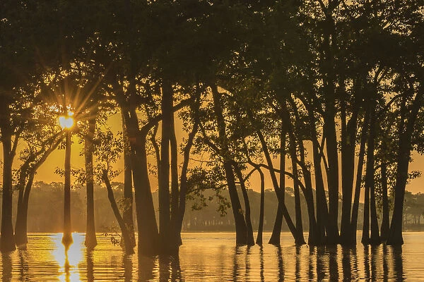 USA, Louisiana. Sunrise on Millers Lake