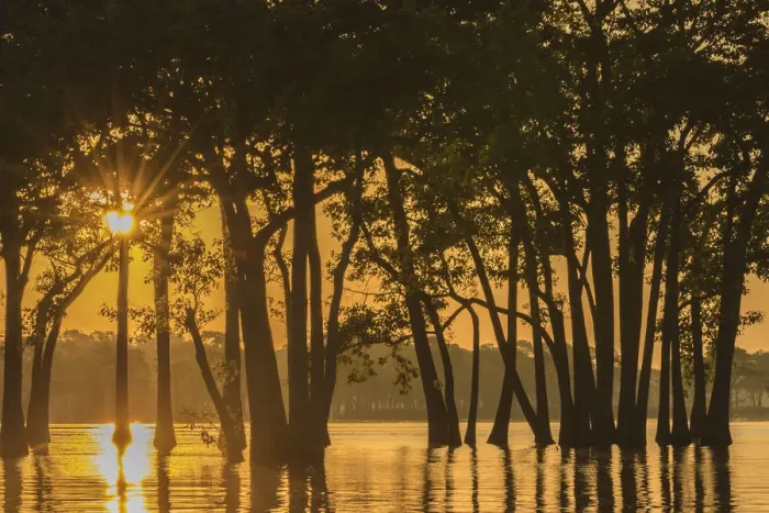 Framed Print : USA, Louisiana. Sunrise on Millers Lake Framed Print : USA, Louisiana. Sunrise on Millers Lake