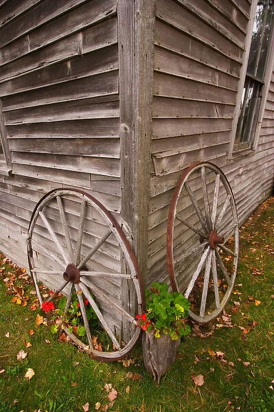 07. USA, Main. Wagon Wheels