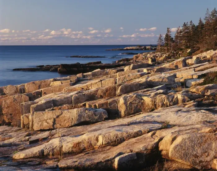 Framed Print : USA, Maine, Acadia National Park, Mt Desert Island, View of rocks with forest Framed Print : USA, Maine, Acadia National Park, Mt Desert Island, View of rocks with forest