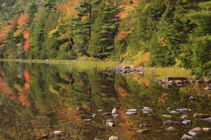 Framed Print : USA, Maine. Acadia National Park, reflections in the fall at Bubble Pond Framed Print : USA, Maine. Acadia National Park, reflections in the fall at Bubble Pond