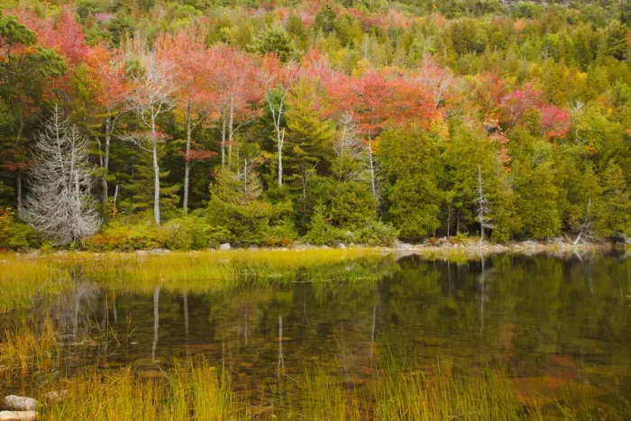Framed Print : USA, Maine. Acadia National Park, reflections in the fall at Bubble Pond