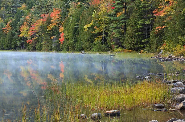 USA, Maine. Acadia National Park, fall reflections with fog at Bubble Pond
