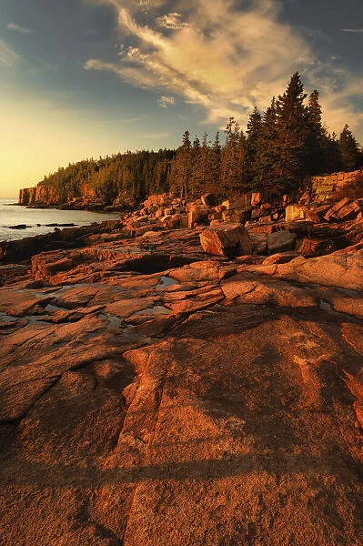 USA, Maine, Acadia National Park. Sunrise on ocean coastline