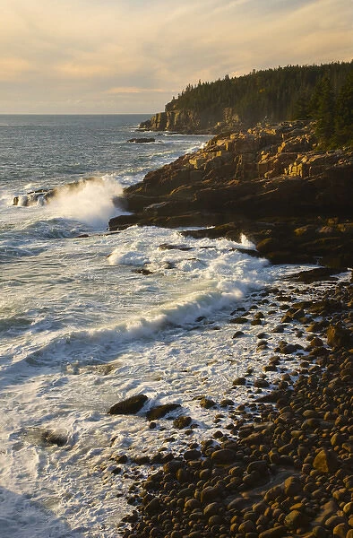 USA; Maine; Acadia National Park; Morning light along the coast
