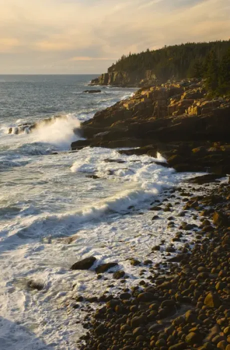 Framed Print : USA; Maine; Acadia National Park; Morning light along the coast Framed Print : USA; Maine; Acadia National Park; Morning light along the coast