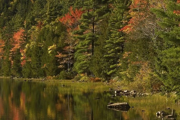 USA; Maine; Acadia NP. Fall reflections at Bubble Pond