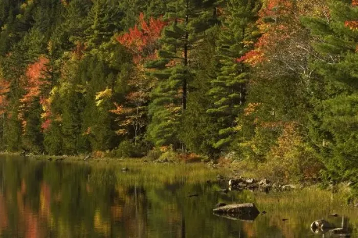 Framed Print : USA; Maine; Acadia NP. Fall reflections at Bubble Pond