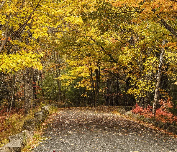 USA, Maine, autumn colors