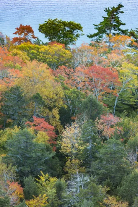 Framed Print : USA, Maine. Autumn foliage viewed from atop The Bubbles near Jordan Pond, Acadia National Park Framed Print : USA, Maine. Autumn foliage viewed from atop The Bubbles near Jordan Pond, Acadia National Park