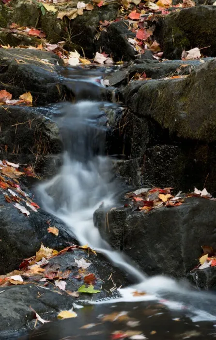 Framed Print : USA, Maine. Autumn leaves along small waterfall on Duck Brook, Acadia National Park