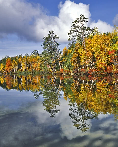 USA, Maine. Autumn scenic of Upper Togue Pond