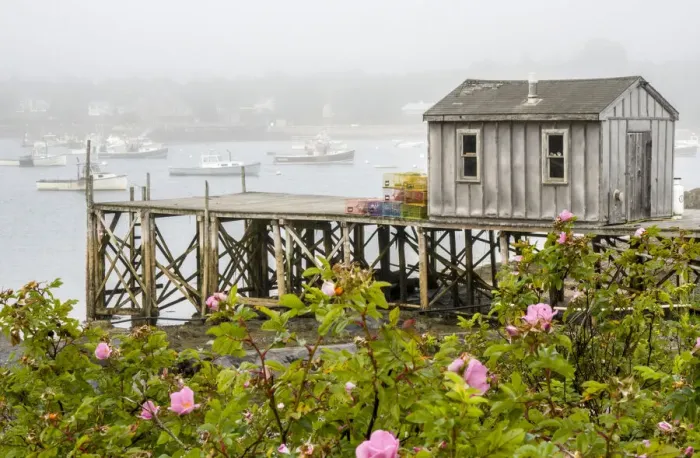 Framed Print : USA, Maine. Bernard fishing village, Mount Desert Island, Maine, USA Framed Print : USA, Maine. Bernard fishing village, Mount Desert Island, Maine, USA