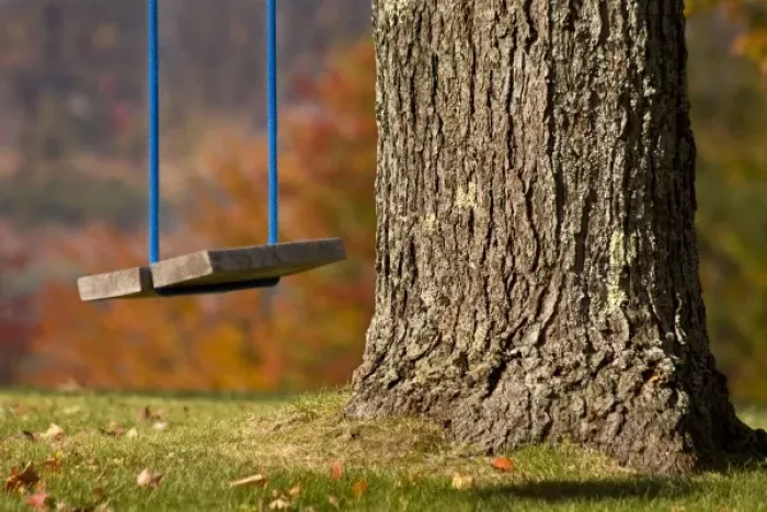 Framed Print : USA, Maine, Bethel. Close-up of a wooden swing hangs from a tree
