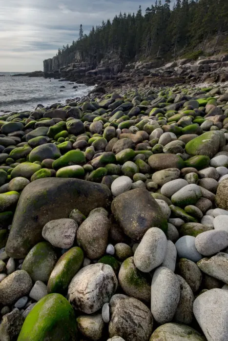 Framed Print : USA, Maine. Boulder Beach, Acadia National Park