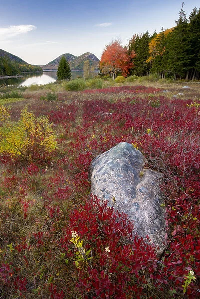 USA, Maine. The Bubbles and Jordan Pond in full autumn colors, Acadia National Park