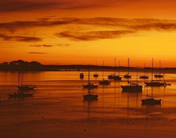 USA, Maine, Camden. Sailboats silhouetted at sunrise in harbor