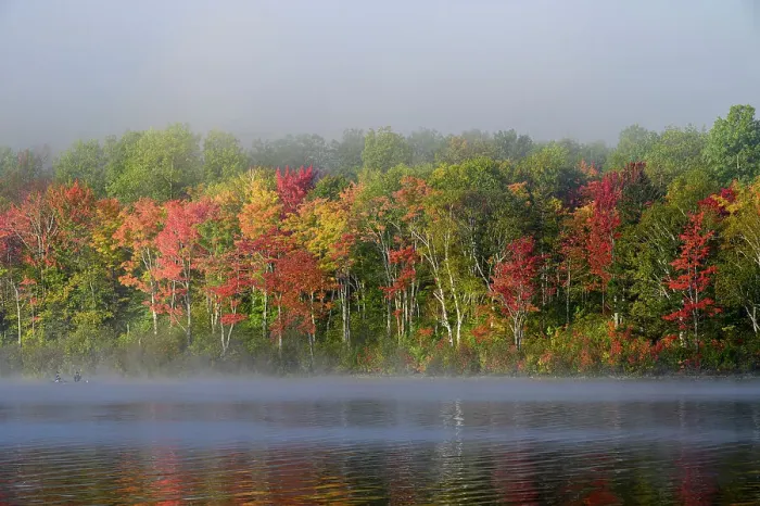 Framed Print : USA, Maine. Two canoeists paddle in the fog, Baxter State Park
