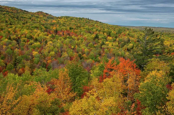 Framed Print : USA, Maine. Colorful fall foliage, Baxter State Park Framed Print : USA, Maine. Colorful fall foliage, Baxter State Park