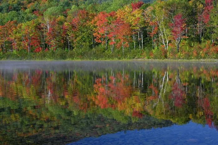 Framed Print : USA, Maine. Colorful foliage reflected in South Branch Pond, Baxter State Park Framed Print : USA, Maine. Colorful foliage reflected in South Branch Pond, Baxter State Park
