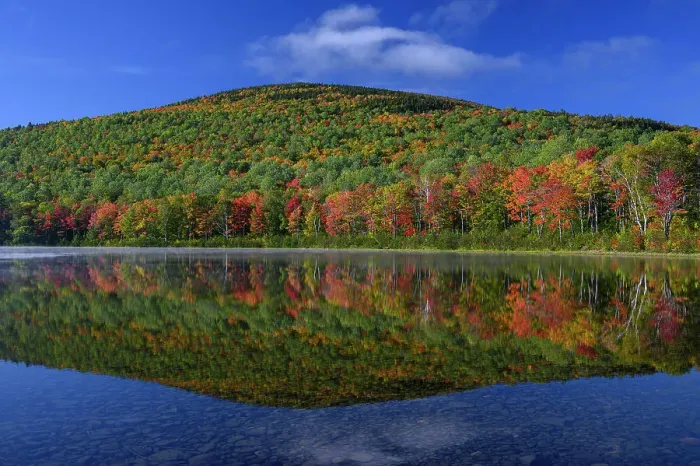 Framed Print : USA, Maine. Colorful foliage reflected in South Branch Pond, Baxter State Park