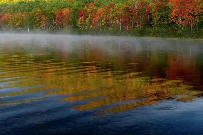 Framed Print : USA, Maine. Colorful foliage reflected in South Branch Pond, Baxter State Park Framed Print : USA, Maine. Colorful foliage reflected in South Branch Pond, Baxter State Park