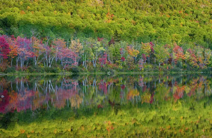 Framed Print : USA, Maine. Colorful foliage reflected in South Branch Pond, Baxter State Park Framed Print : USA, Maine. Colorful foliage reflected in South Branch Pond, Baxter State Park