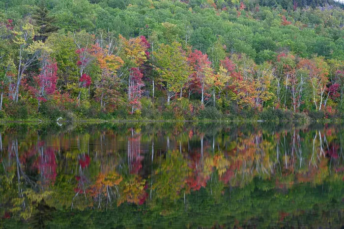 Framed Print : USA, Maine. Colorful foliage reflected in South Branch Pond, Baxter State Park Framed Print : USA, Maine. Colorful foliage reflected in South Branch Pond, Baxter State Park