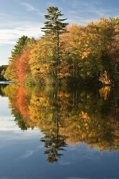 USA, Maine. Fall colors on the Megunticook River
