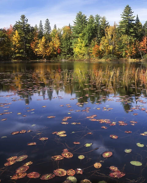 USA, Maine, Franklin County, Pond