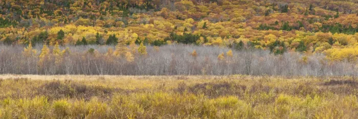 Framed Print : USA, Maine, Mt. Desert Island, Acadia National Park, autumn foliage