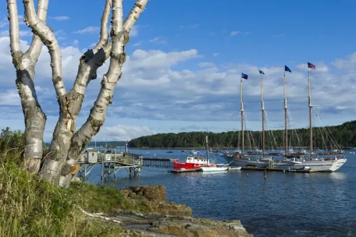 Framed Print : USA, Maine, Mt. Desert Island, Bar Harbor, tall ship, Frenchman Bay, morning Framed Print : USA, Maine, Mt. Desert Island, Bar Harbor, tall ship, Frenchman Bay, morning