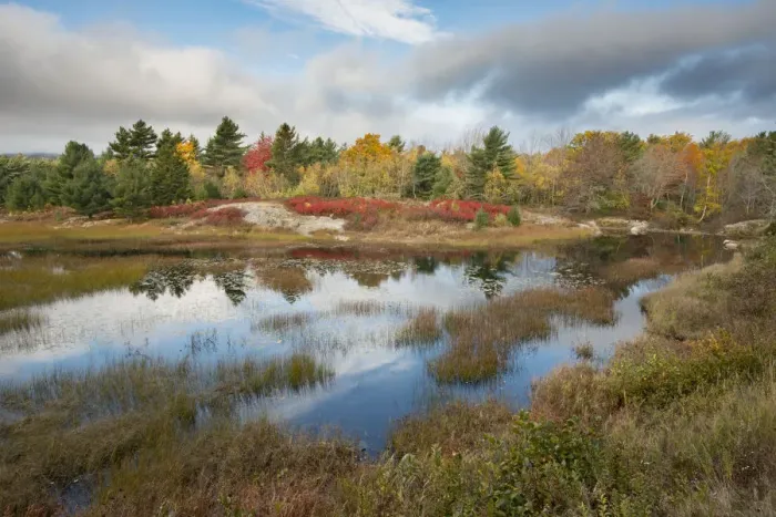 Framed Print : USA, Maine. New Mills Meadow Pond, Acadia National Park