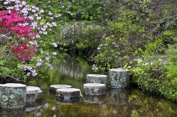USA, Maine, Northeast Harbor. Stone steps in water in Asticou Azalea Gardens
