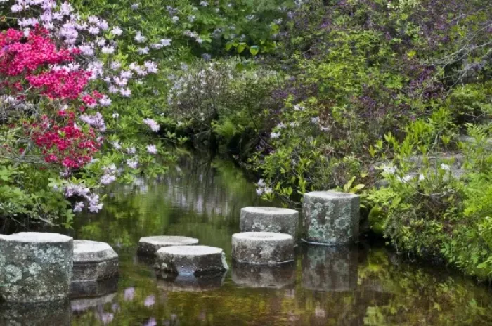 Framed Print : USA, Maine, Northeast Harbor. Stone steps in water in Asticou Azalea Gardens Framed Print : USA, Maine, Northeast Harbor. Stone steps in water in Asticou Azalea Gardens