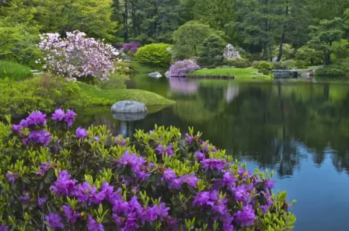 Framed Print : USA, Maine, Northeast Harbor. View of Asticou Azalea Gardens