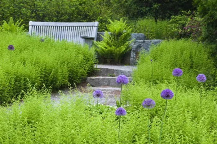 Framed Print : USA, Maine, Northeast Harbor. Wooden bench in Thuya Garden. Credit as: Nancy Rotenberg