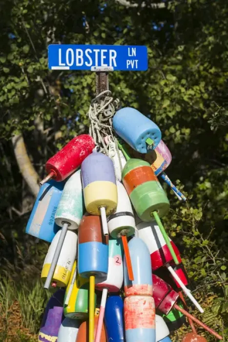 Framed Print : USA, Maine, Owls Head, sign for Lobster Lane with lobster buoys