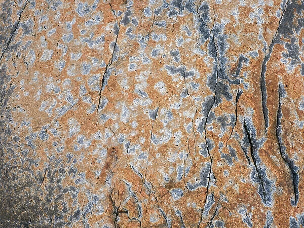 USA, Maine. Patterns on rock on the beach near Thunder Hole in Acadia National Park