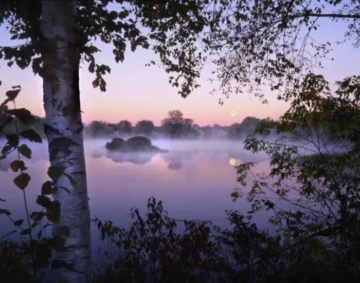 Framed Print : USA, Maine, Pittsfield. Moonset at sunrise with fog rising over Mill Pond Framed Print : USA, Maine, Pittsfield. Moonset at sunrise with fog rising over Mill Pond