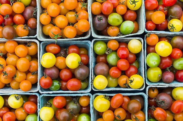 USA, Maine, Rockland, cherry tomatoes at farmers market